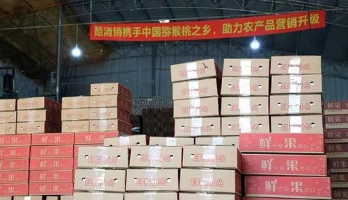 酷消銷(xiāo)再獲信任，金融中介服務(wù)將助力天水花牛蘋(píng)果營(yíng)銷(xiāo)新篇章